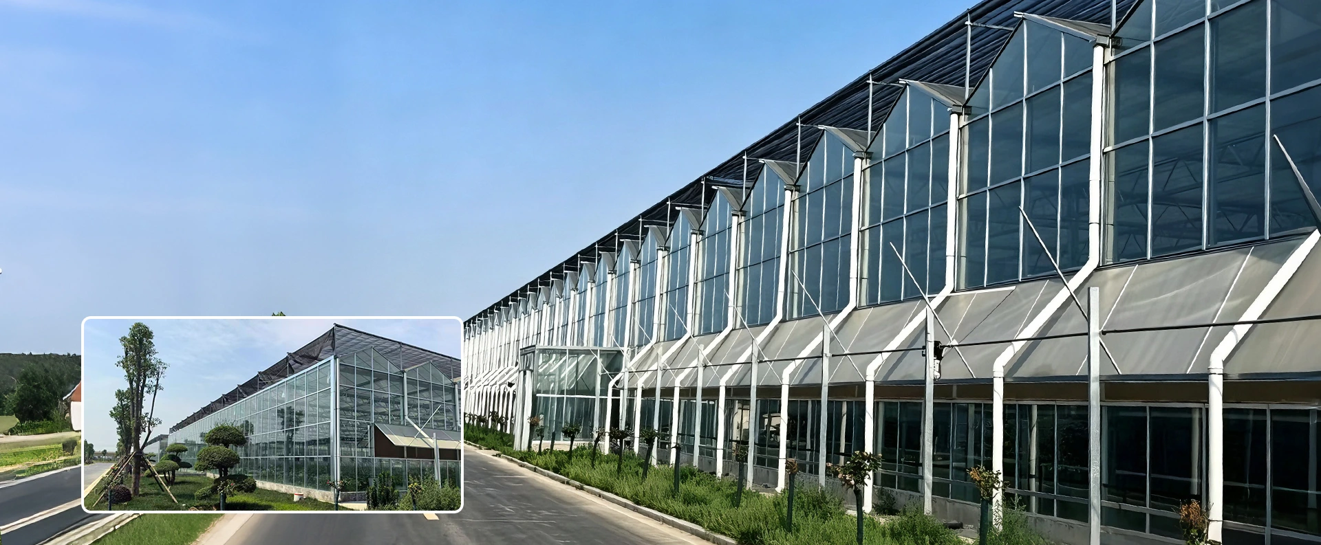 Fabbrica cinese di serre a più campate
