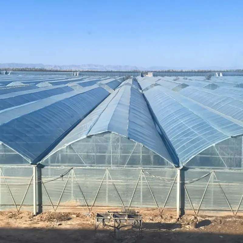 Cosa rende le serre a più campate in pellicola ideali per l'agricoltura commerciale?