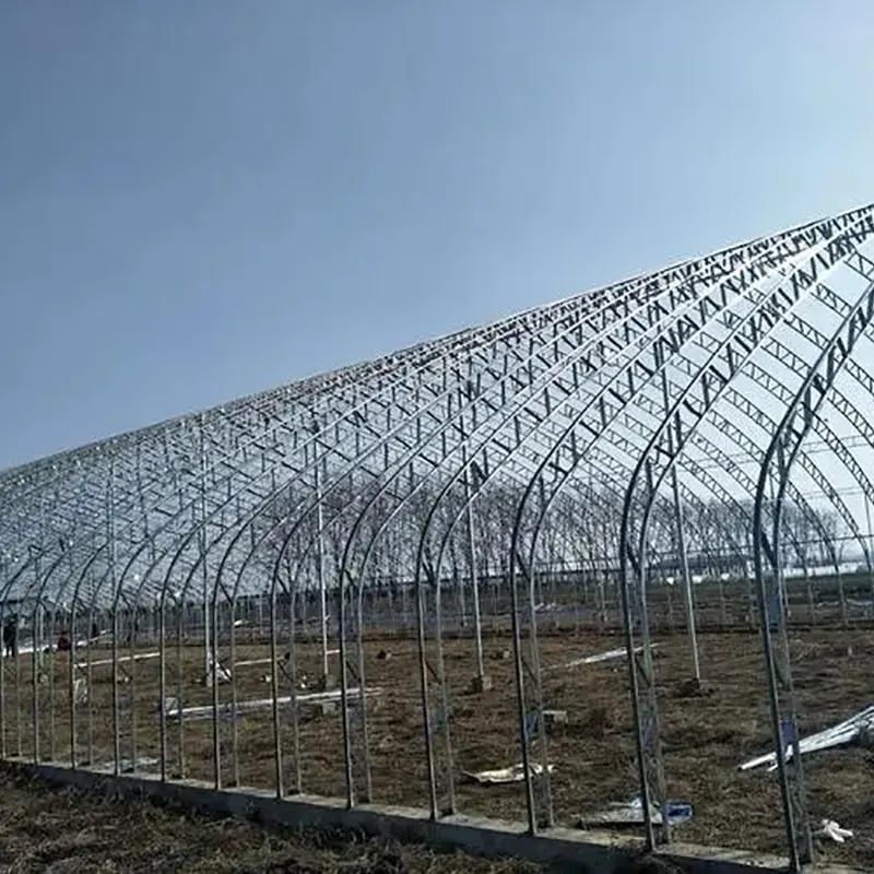 Prefabricated Double-Film Arch Solar Greenhouse