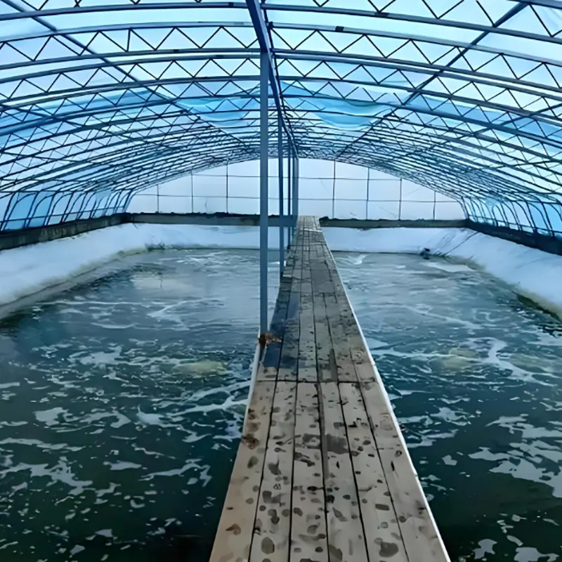 Shrimp Breeding Shed