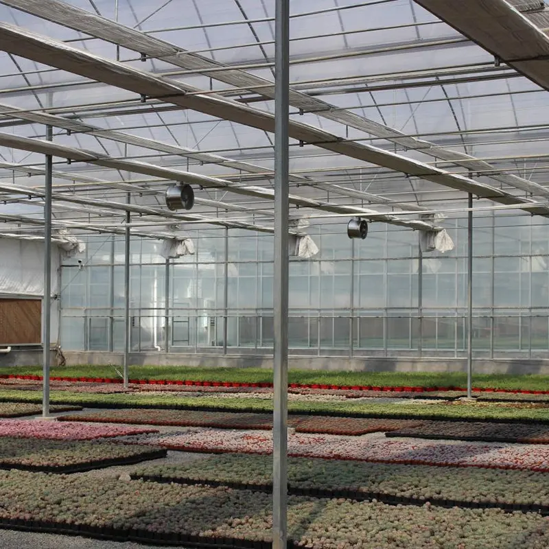 Double-Layer Film Multi-Span Greenhouse