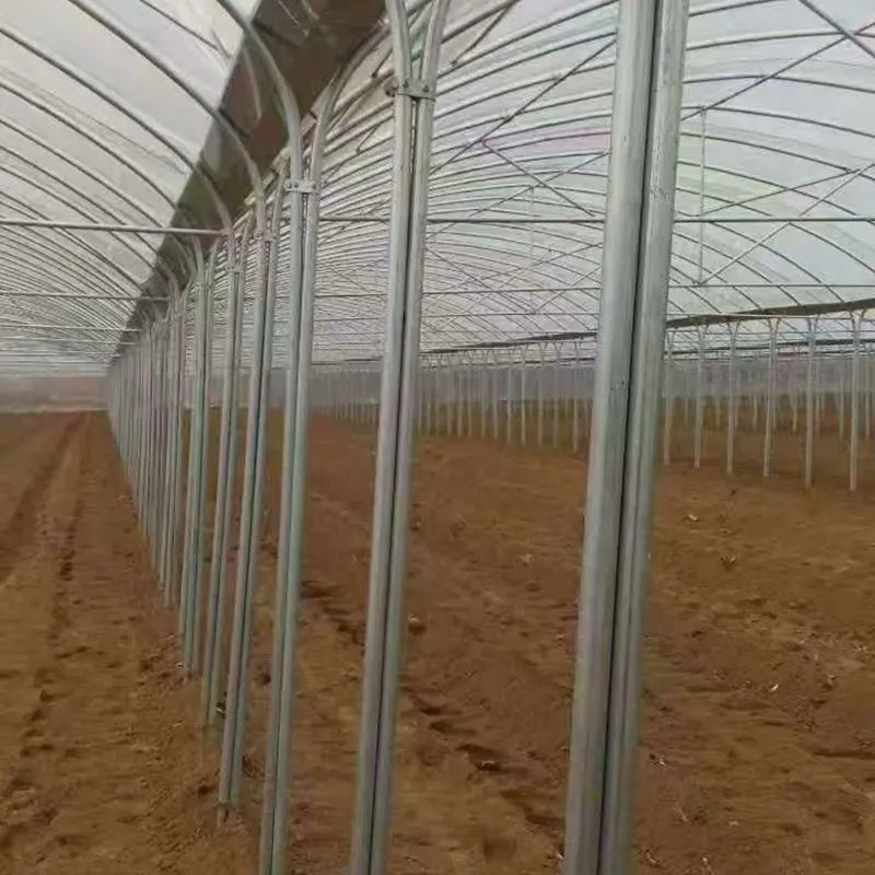 Serra semplice a più campate con arco a tutto sesto e gambe unite
