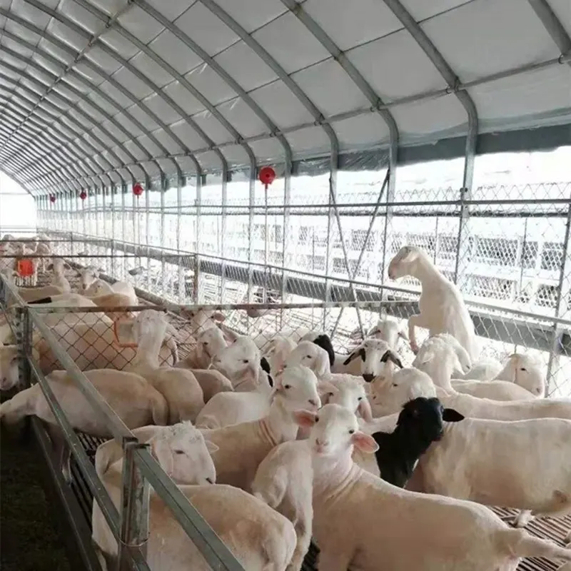 Capannone per l'allevamento di bestiame e pollame