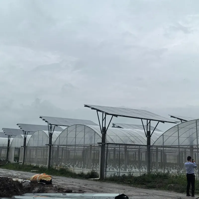 Serra multicampata con tetto fotovoltaico